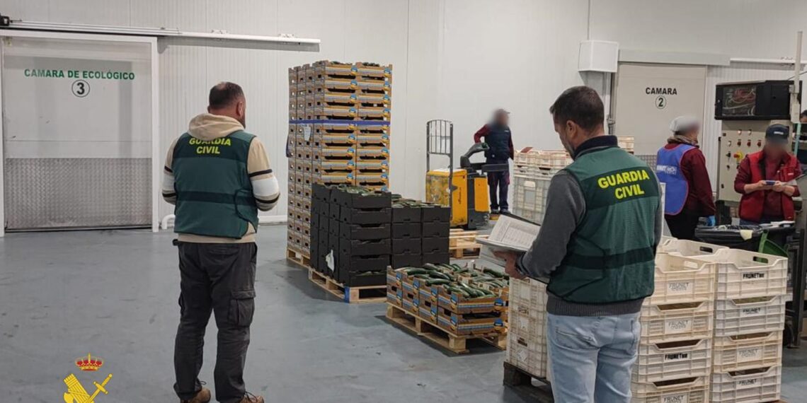 Desarticulan un grupo criminal acusado de estafar 130.000 euros a empresas hortofrutícolas de Almería y Málaga