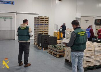 Desarticulan un grupo criminal acusado de estafar 130.000 euros a empresas hortofrutícolas de Almería y Málaga