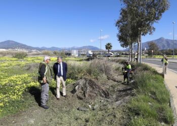Nuevas actuaciones en la travesía urbana de la Carretera de Ronda para mejorar la seguridad vial de la zona