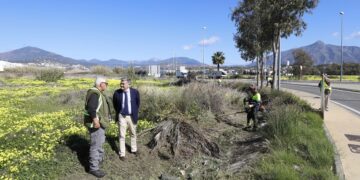 Nuevas actuaciones en la travesía urbana de la Carretera de Ronda para mejorar la seguridad vial de la zona