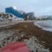 Benalmádena tendrá que retirar unas 70 toneladas de alga asiática de las playas, ancladas y dispersas a causa del fuerte temporal
