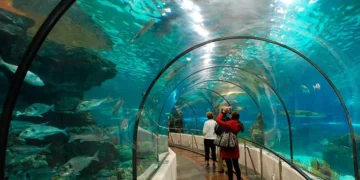 Sea Life Benalmádena propone una nueva actividad para concienciar sobre los peligros que amenazan a los océanos