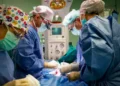 Realizan con éxito la primera operación en España para extirpar un tumor a un bebé en periodo de gestación