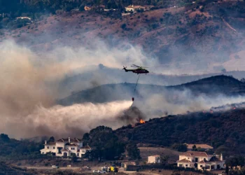 Declaran «zona gravemente afectada» a los terrenos arrasados por el incendio de noviembre en Mijas