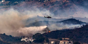 Declaran «zona gravemente afectada» a los terrenos arrasados por el incendio de noviembre en Mijas