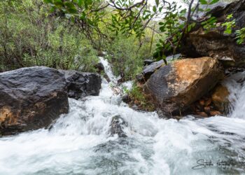 El pantano de la Concepción sigue recuperando fuerza y se acerca al 33% de su capacidad