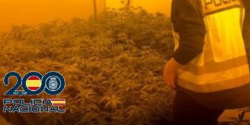 Cae en Fuengirola una red criminal de producción intensiva de marihuana