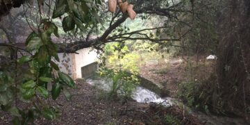 La eficiencia y la búsqueda de recursos alternativos, clave para un futuro sostenible