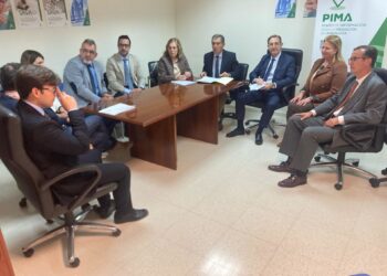 Presidente de TSJA destaca la mejora al asumir el juzgado de violencia sobre Mujer de Marbella casos de Estepona