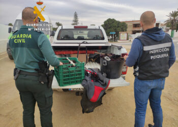 Intervenidos 34 kg de erizos de mar que habían sido capturados ilegalmente en una playa de Mijas