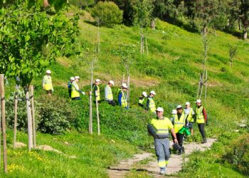 Estudiantes de Manilva celebran el Día de los Árboles en la cantera de La Utrera