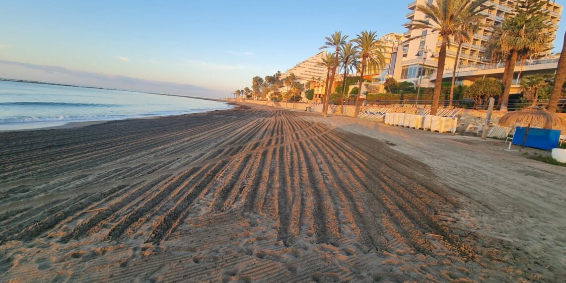 Retiradas casi 300 toneladas de alga asiática en las Playas de Benalmádena en los últimos tres meses