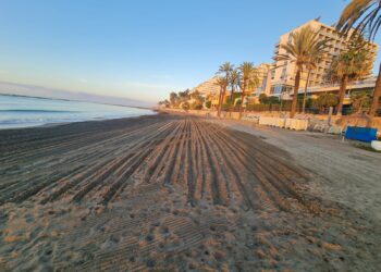 Retiradas casi 300 toneladas de alga asiática en las Playas de Benalmádena en los últimos tres meses