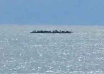 Narcolanchas, taxis-patera: las mafias del Estrecho se desplazan a la Costa del Sol