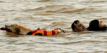 Perros socorristas reforzarán la protección de las playas malagueñas este verano