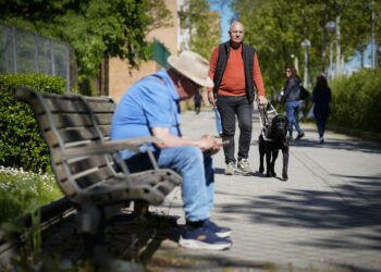 Las personas ciegas piden en Andalucía «no distraer» a los perros guías con alimentos