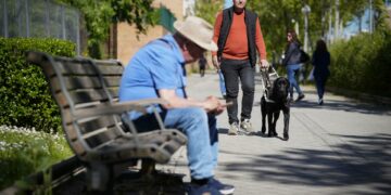 Las personas ciegas piden en Andalucía «no distraer» a los perros guías con alimentos