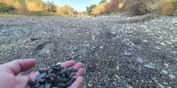 Archivan la denuncia por la extracción de agua del río Guadiaro para el riego de aguacates