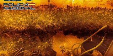 Detienen a seis personas y desarticulan dos puntos de venta de drogas en la zona oeste de Málaga
