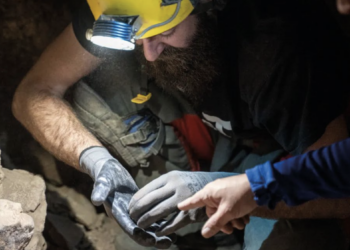 Un paseo por la prehistoria: La Cueva del Toro y su inédito arte rupestre