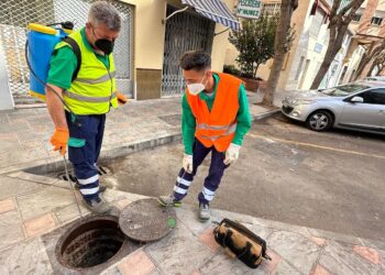 Fuengirola intensifica las labores de desinsectación ante la llegada del calor