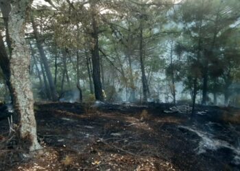 Extinguido un incendio en el paraje ‘El Madroñal’ de Benahavís