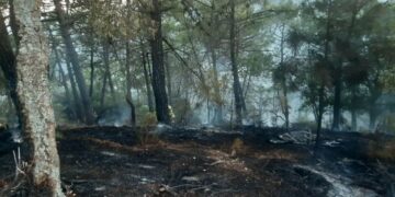 Extinguido un incendio en el paraje ‘El Madroñal’ de Benahavís