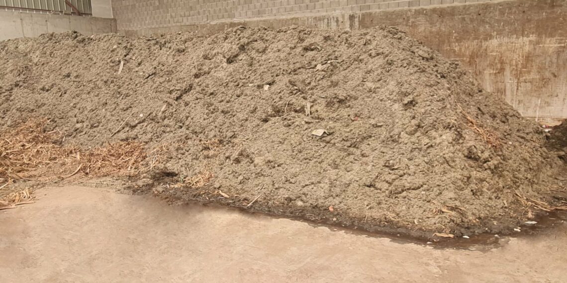 La Mancomunidad recupera en mes y medio más de 4.200 toneladas de algas