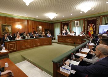 Marbella pedirá al Gobierno que acate la sentencia del Supremo que le da la razón frente a la Agencia Tributaria