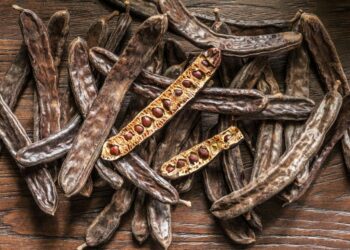 Un compuesto extraído de la algarroba podría ayudar a tratar enfermedades neurodegenerativas