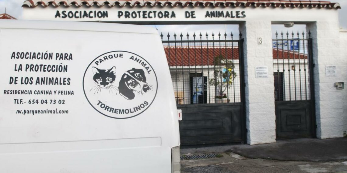 Juzgan a la exdueña de la protectora Parque Animal de Torremolinos por quedarse con 274.300 euros