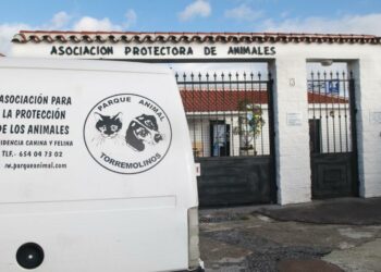 Juzgan a la exdueña de la protectora Parque Animal de Torremolinos por quedarse con 274.300 euros