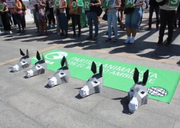 Un centenar de animalistas protestan contra el servicio de burro-taxi en Mijas