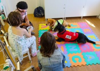 Los perros vuelven al hospital: el Materno Infantil recupera la terapia canina