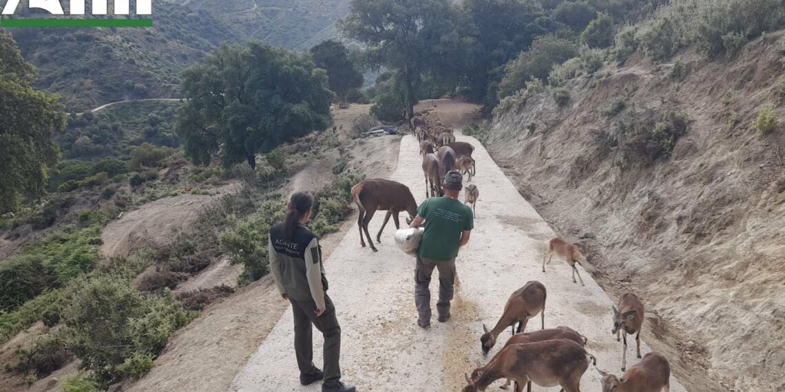 Una nueva empresa gestionará la Ecoreserva de Ojén