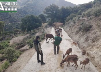 Una nueva empresa gestionará la Ecoreserva de Ojén