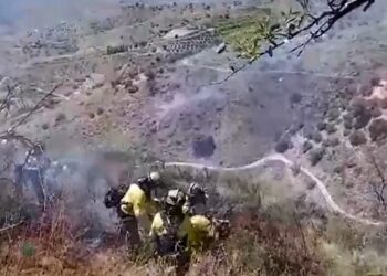 Estabilizado un incendio forestal en una zona de monte en Canillas de Aceituno