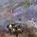 Estabilizado un incendio forestal en una zona de monte en Canillas de Aceituno