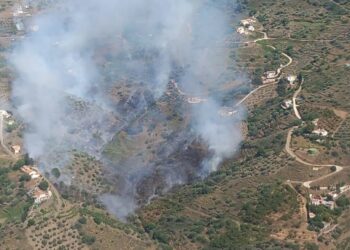 Declarado un incendio en el paraje Montealegre de Torrox