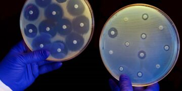 Diseñan una vacuna para combatir la resistencia a los antibióticos