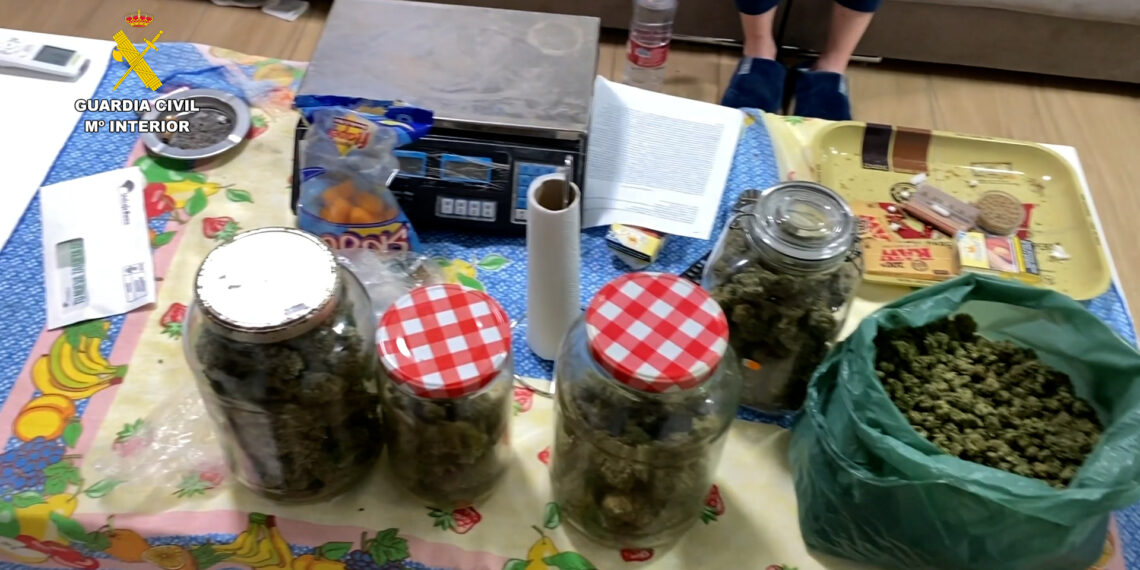 Desarticulada una organización criminal que había construido zulos en viviendas para el cultivo de marihuana