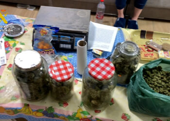Desarticulada una organización criminal que había construido zulos en viviendas para el cultivo de marihuana