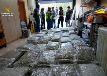 Desmantelada una organización criminal de origen turco especializada en el tráfico de heroína y marihuana