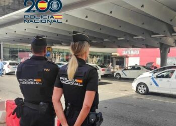 Detenido el responsable de cinco hurtos a viajeros en el Aeropuerto Málaga-Costa del Sol