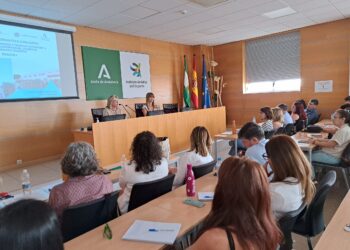 La Junta destina 15,2 millones de euros a 13 zonas desfavorecidas, entre otras, de Marbella y Torremolinos