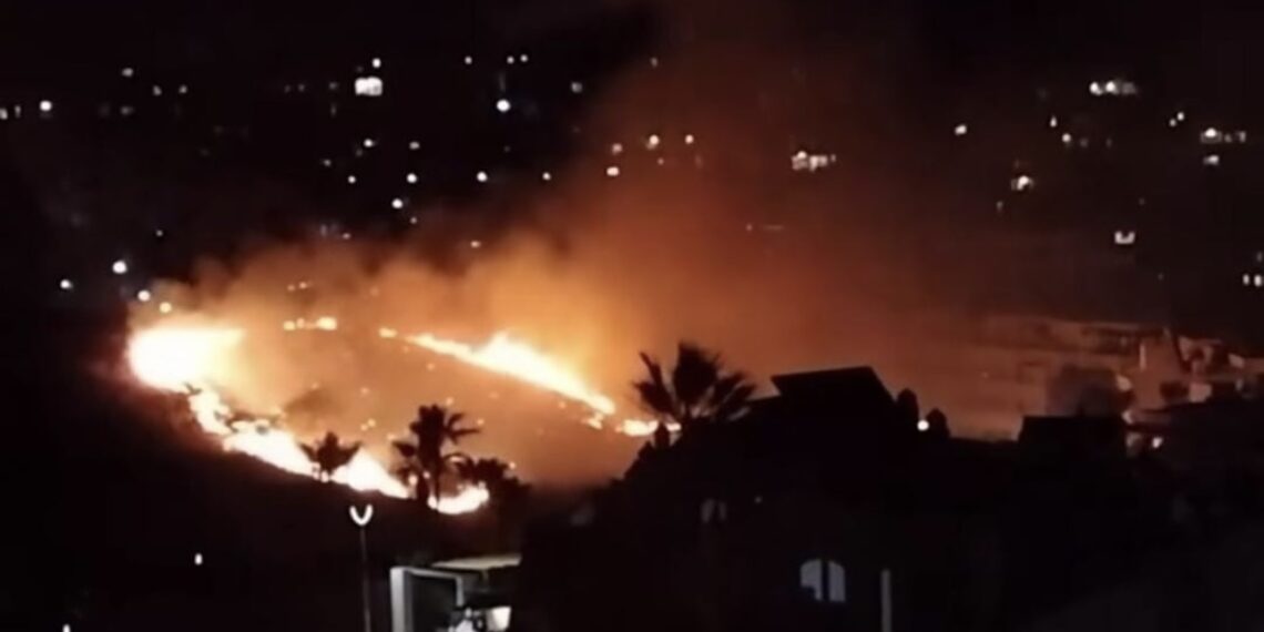 Arde un contenedor y provoca un incendio forestal en el paraje de Calahonda, en Mijas