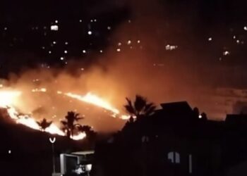 Arde un contenedor y provoca un incendio forestal en el paraje de Calahonda, en Mijas