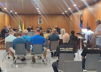 Suspenden el juicio a una red de tráfico de drogas organizado por una mujer desde Marbella