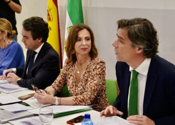 El Plan de Ordenación del Territorio de la Costa del Sol recoge el tren litoral y liberar el peaje de la AP7