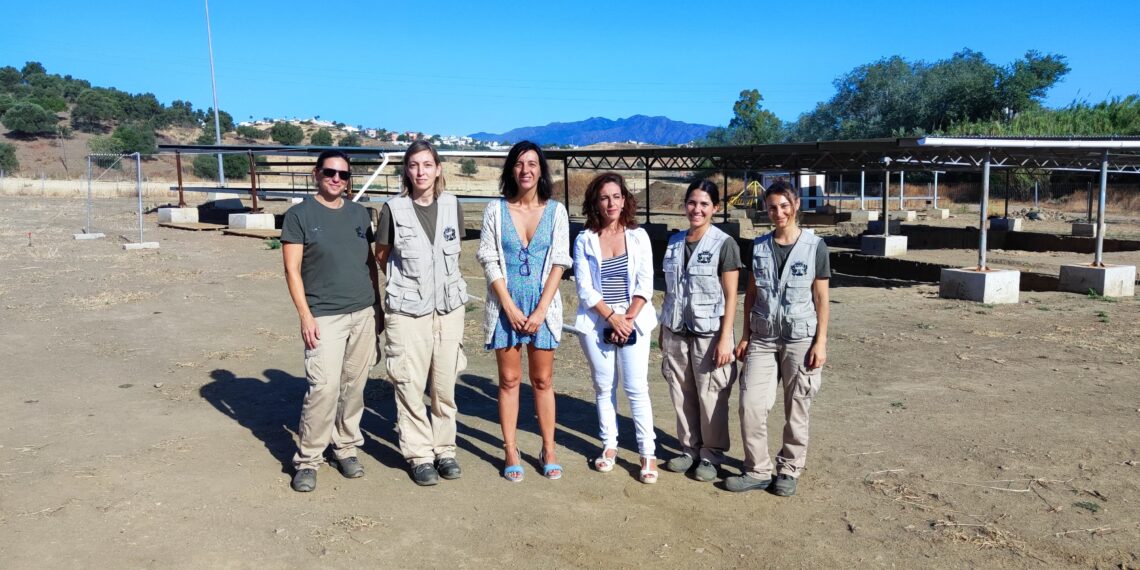 Organizan visitas guiadas al yacimiento Cortijo de Acebedo de Mijas